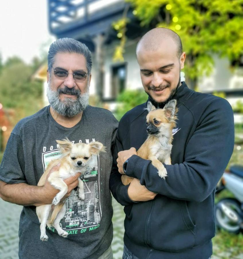 Dumbrava Soarelui Otel Braşov Dış mekan fotoğraf