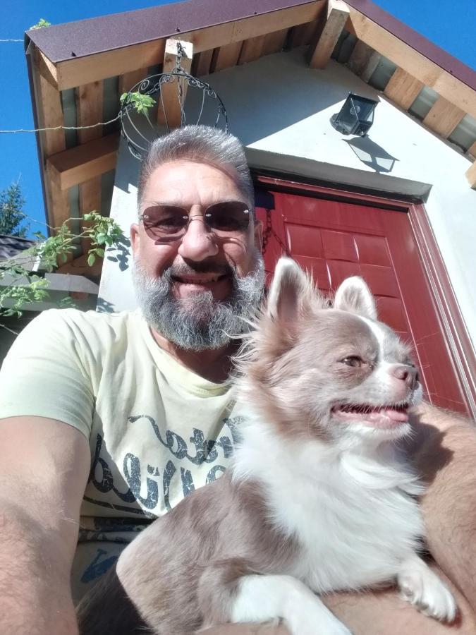 Dumbrava Soarelui Otel Braşov Dış mekan fotoğraf