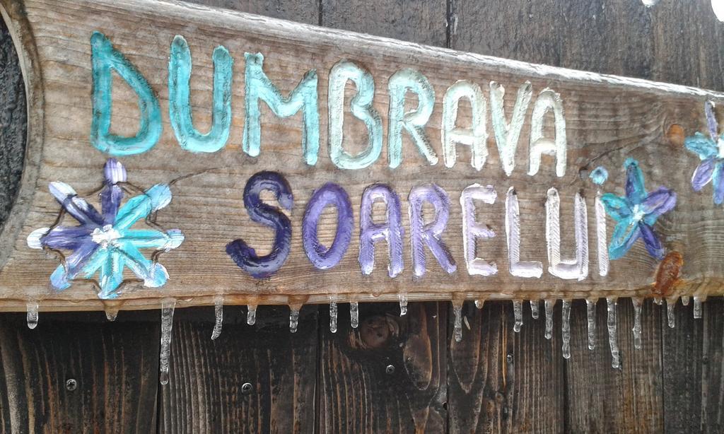 Dumbrava Soarelui Otel Braşov Dış mekan fotoğraf
