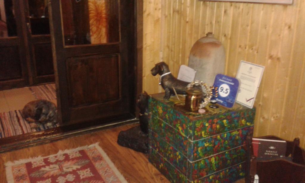 Dumbrava Soarelui Otel Braşov Dış mekan fotoğraf