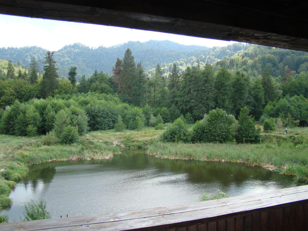 Dumbrava Soarelui Otel Braşov Dış mekan fotoğraf